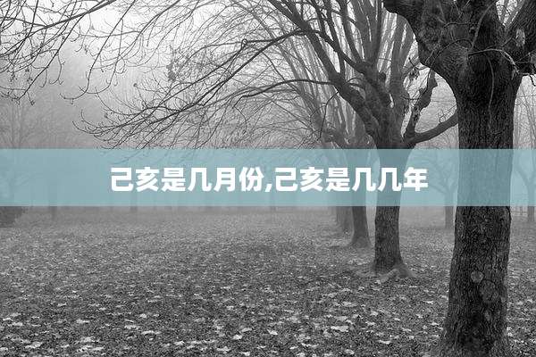 己亥是几月份,己亥是几几年