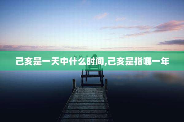 己亥是一天中什么时间,己亥是指哪一年