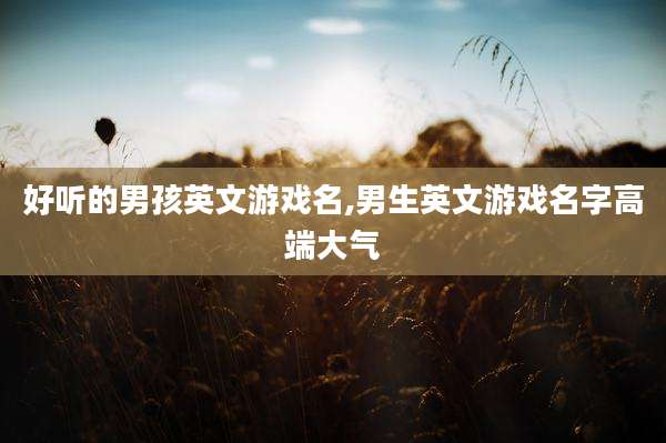 好听的男孩英文游戏名,男生英文游戏名字高端大气