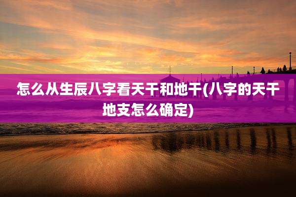 怎么从生辰八字看天干和地干(八字的天干地支怎么确定)