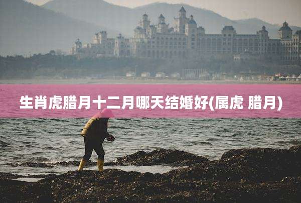 生肖虎腊月十二月哪天结婚好(属虎 腊月)