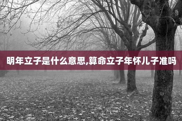 明年立子是什么意思,算命立子年怀儿子准吗