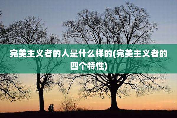 完美主义者的人是什么样的(完美主义者的四个特性)