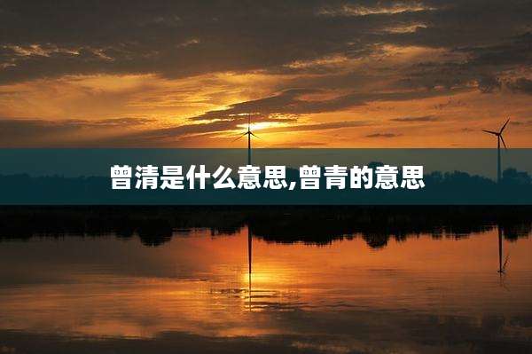 曾清是什么意思,曾青的意思
