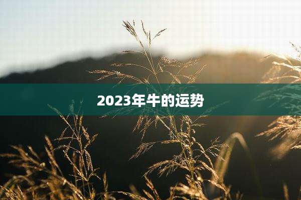 2023年牛的运势