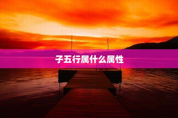 子五行属什么属性