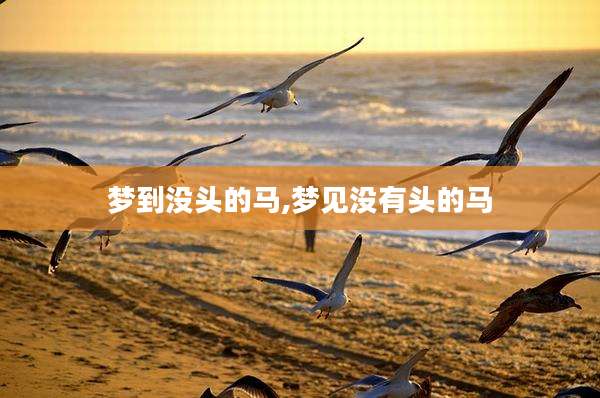梦到没头的马,梦见没有头的马