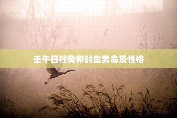 壬午日柱癸卯时生男命及性格