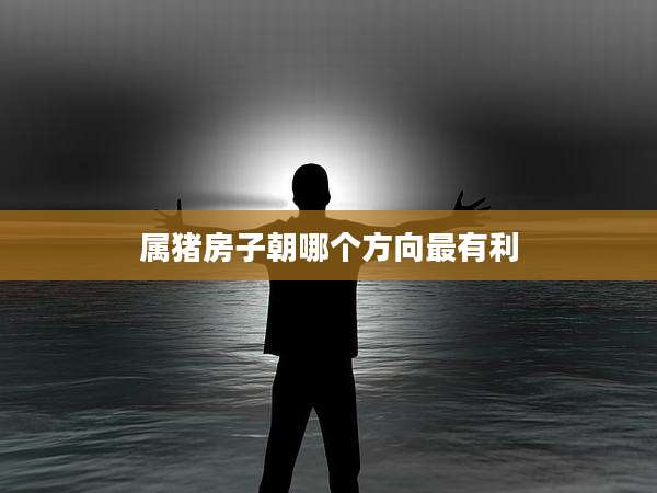属猪房子朝哪个方向最有利