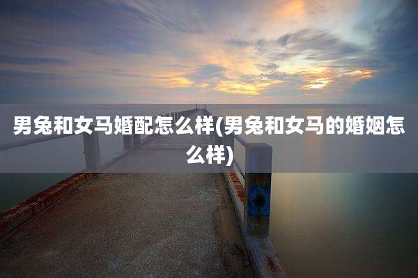男兔和女马婚配怎么样(男兔和女马的婚姻怎么样)