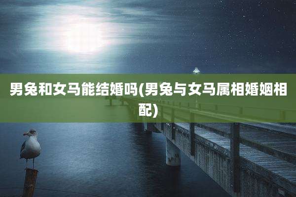 男兔和女马能结婚吗(男兔与女马属相婚姻相配)