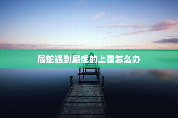 属蛇遇到属虎的上司怎么办