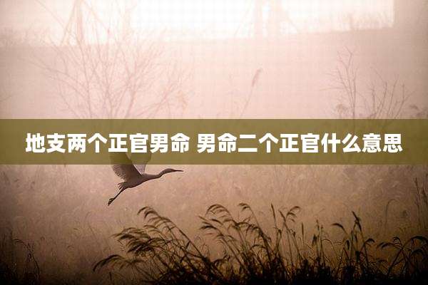 地支两个正官男命 男命二个正官什么意思