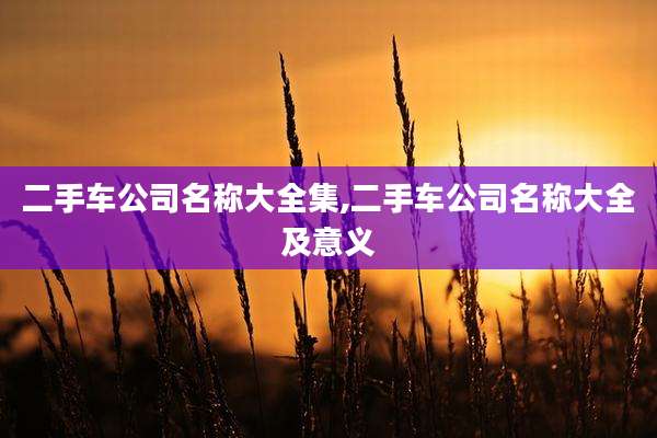 二手车公司名称大全集,二手车公司名称大全及意义