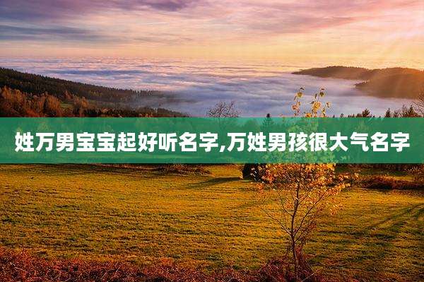 姓万男宝宝起好听名字,万姓男孩很大气名字