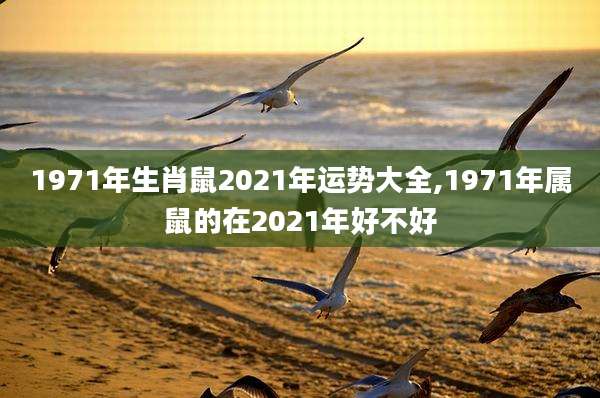 1971年生肖鼠2021年运势大全,1971年属鼠的在2021年好不好