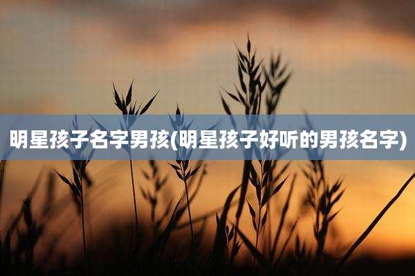 明星孩子名字男孩(明星孩子好听的男孩名字)