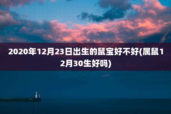 2020年12月23日出生的鼠宝好不好(属鼠12月30生好吗)