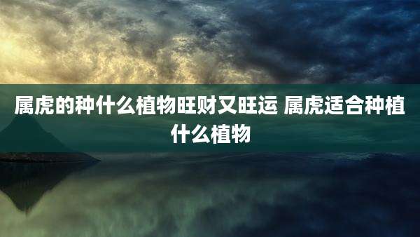 属虎的种什么植物旺财又旺运 属虎适合种植什么植物