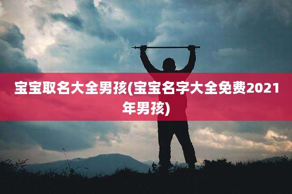 宝宝取名大全男孩(宝宝名字大全免费2021年男孩)