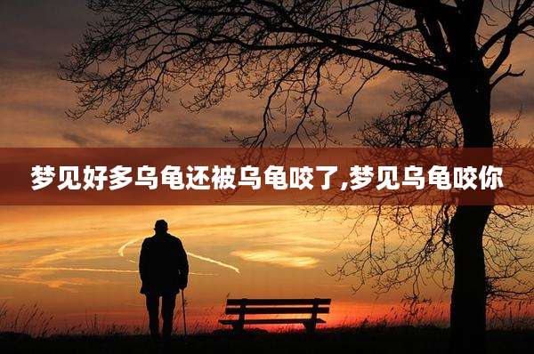 梦见好多乌龟还被乌龟咬了,梦见乌龟咬你