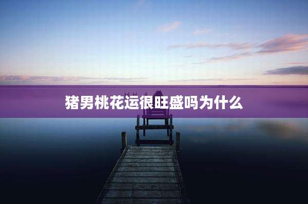 猪男桃花运很旺盛吗为什么
