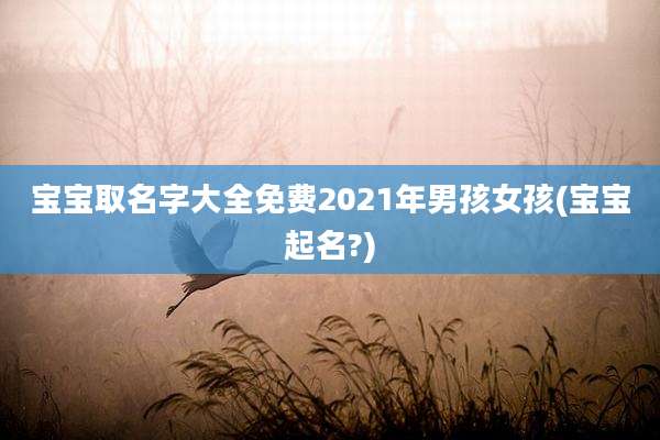 宝宝取名字大全免费2021年男孩女孩(宝宝起名?)