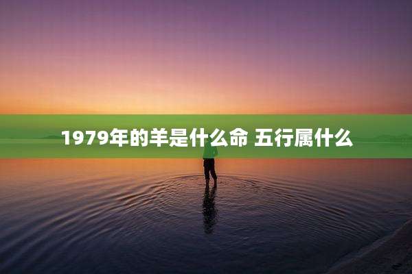 1979年的羊是什么命 五行属什么