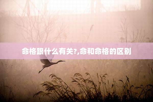 命格跟什么有关?,命和命格的区别