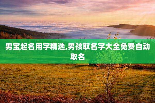 男宝起名用字精选,男孩取名字大全免费自动取名