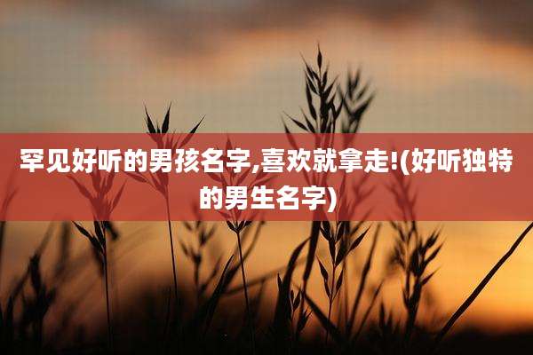 罕见好听的男孩名字,喜欢就拿走!(好听独特的男生名字)