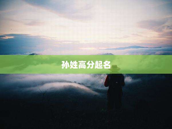 孙姓高分起名