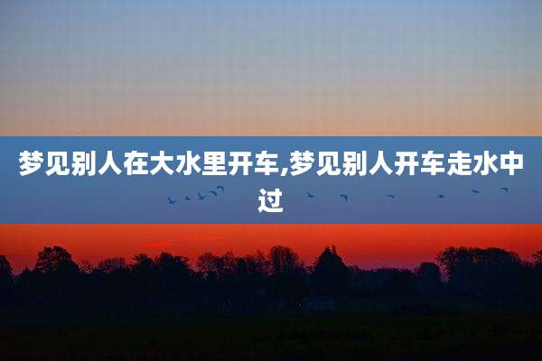 梦见别人在大水里开车,梦见别人开车走水中过