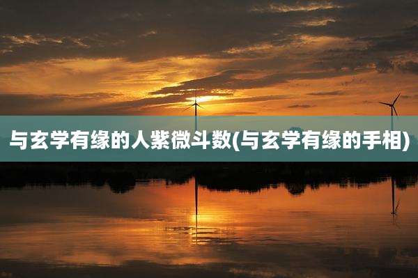 与玄学有缘的人紫微斗数(与玄学有缘的手相)