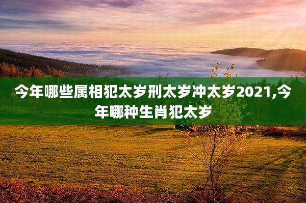今年哪些属相犯太岁刑太岁冲太岁2021,今年哪种生肖犯太岁