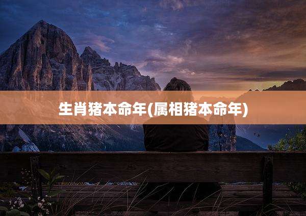 生肖猪本命年(属相猪本命年)