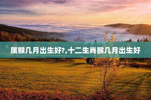 属猴几月出生好?,十二生肖猴几月出生好