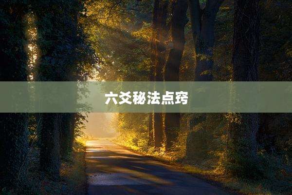 六爻秘法点窍