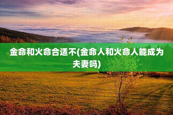 金命和火命合适不(金命人和火命人能成为夫妻吗)