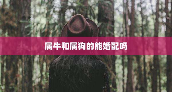 属牛和属狗的能婚配吗