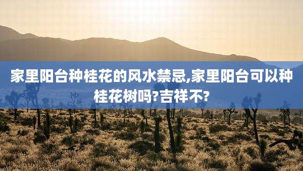 家里阳台种桂花的风水禁忌,家里阳台可以种桂花树吗?吉祥不?