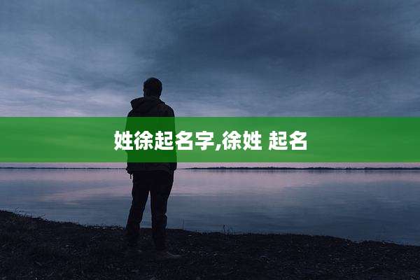 姓徐起名字,徐姓 起名