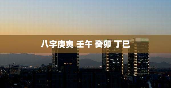 八字庚寅 壬午 癸卯 丁巳