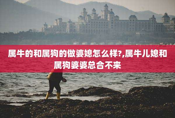 属牛的和属狗的做婆媳怎么样?,属牛儿媳和属狗婆婆总合不来