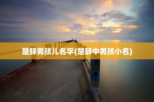楚辞男孩儿名字(楚辞中男孩小名)