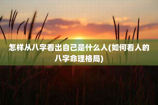 怎样从八字看出自己是什么人(如何看人的八字命理格局)