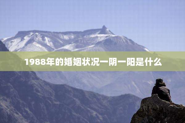 1988年的婚姻状况一阴一阳是什么