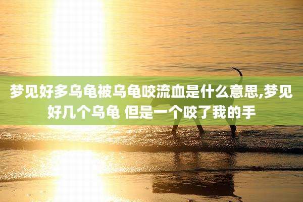 梦见好多乌龟被乌龟咬流血是什么意思,梦见好几个乌龟 但是一个咬了我的手