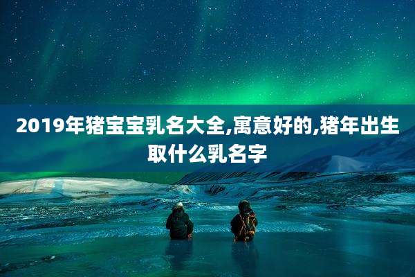 2019年猪宝宝乳名大全,寓意好的,猪年出生取什么乳名字