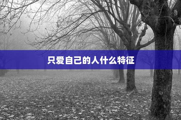 只爱自己的人什么特征
